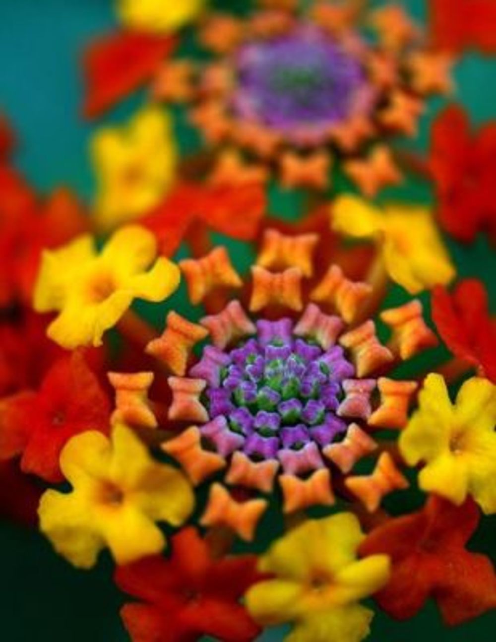 5b607a5305da009aa17165d441c06ae7