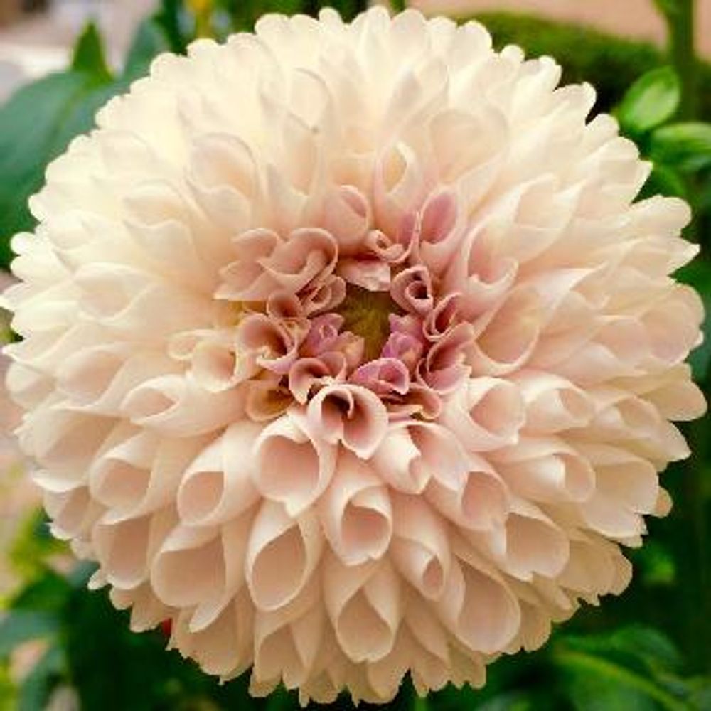 1469352394062_thum_1469352393519_thum_tmp