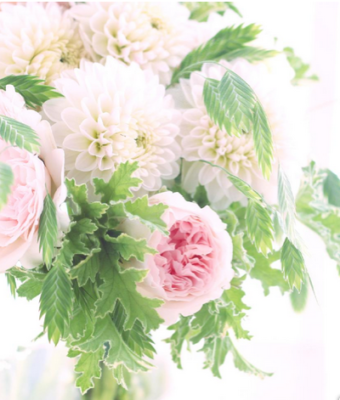 スクリーンショット 2016-07-26 18.48.48