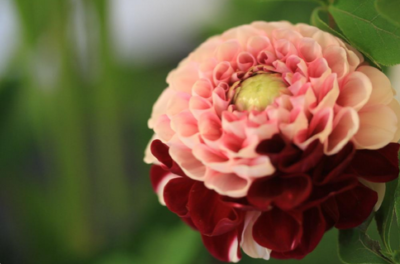 スクリーンショット 2016-07-26 19.01.26