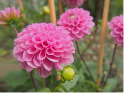 スクリーンショット 2016-07-26 19.05.21