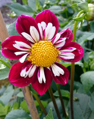 スクリーンショット 2016-07-26 20.06.42