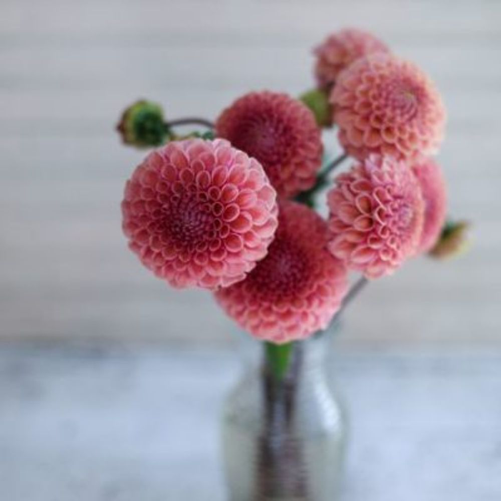 1220269468a95446b0214330e93c9999