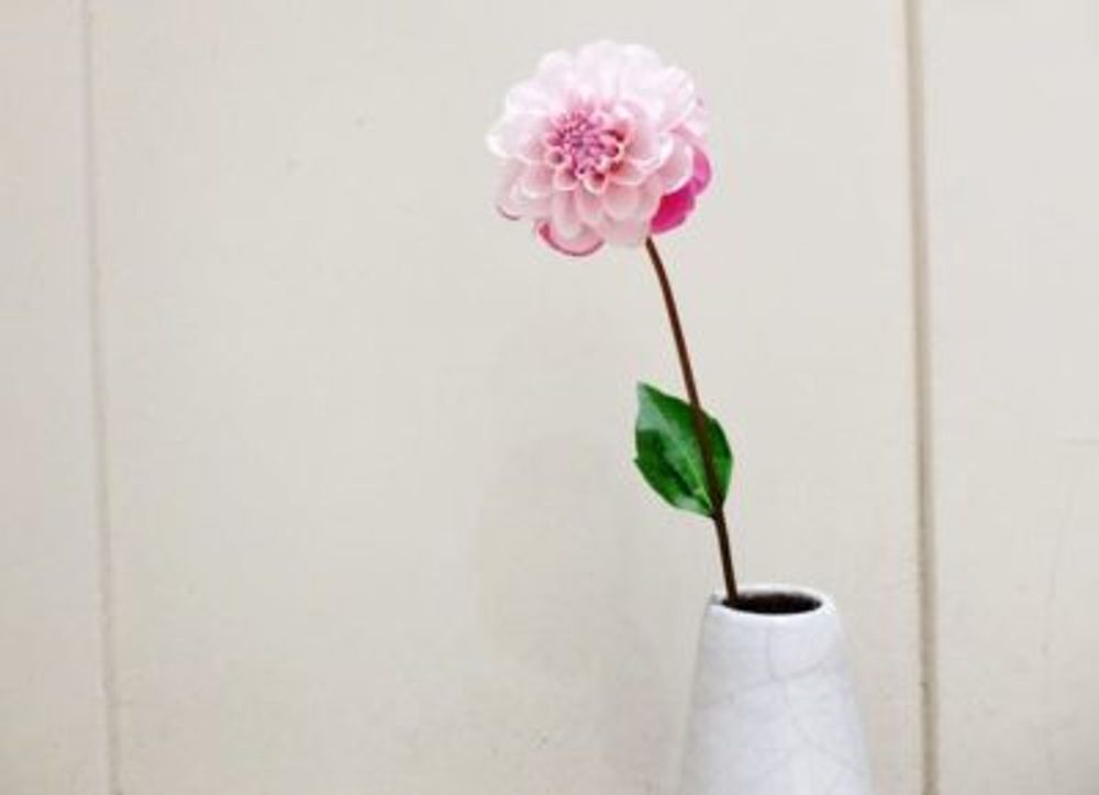 faa55a596ed50409117d12cf63cc8095