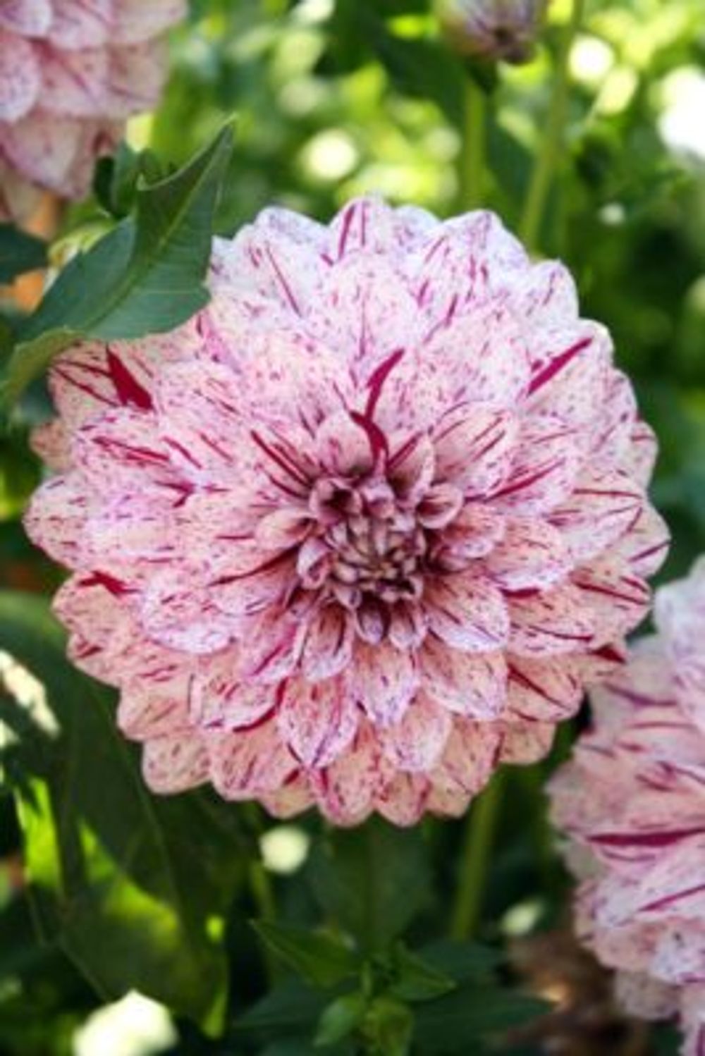 f348c38a2526faa803118f205c98bb15