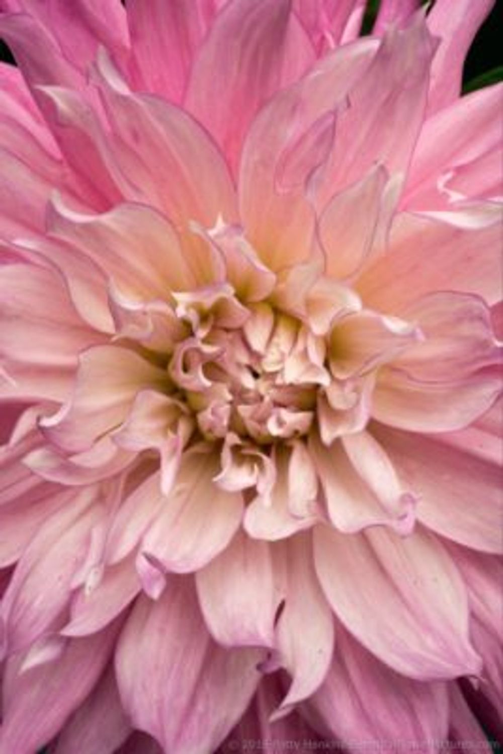 4f997f189306ca1dbd29540992e28fa5