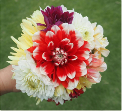 スクリーンショット 2016-06-29 10.37.48