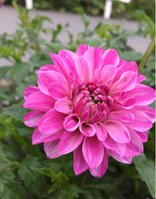 スクリーンショット 2016-06-29 10.40.35