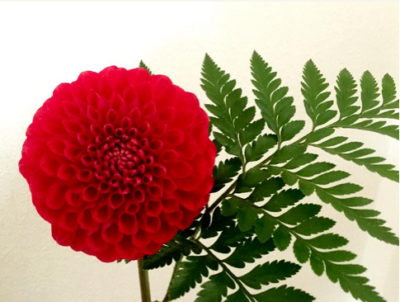 スクリーンショット 2016-06-29 10.43.07