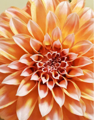 スクリーンショット 2016-06-29 10.45.52