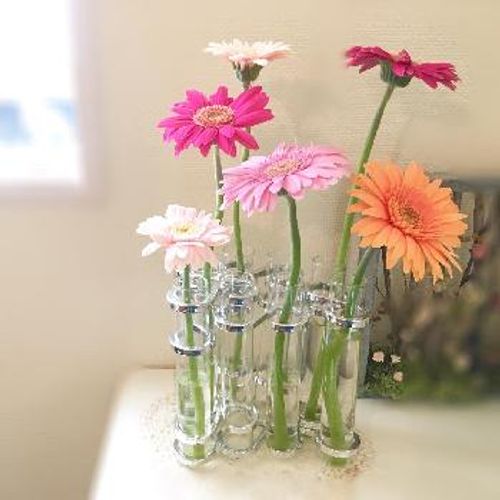 日々の暮らしに花をプラス 恋愛運や女子力がアップする花5選 Greensnap グリーンスナップ