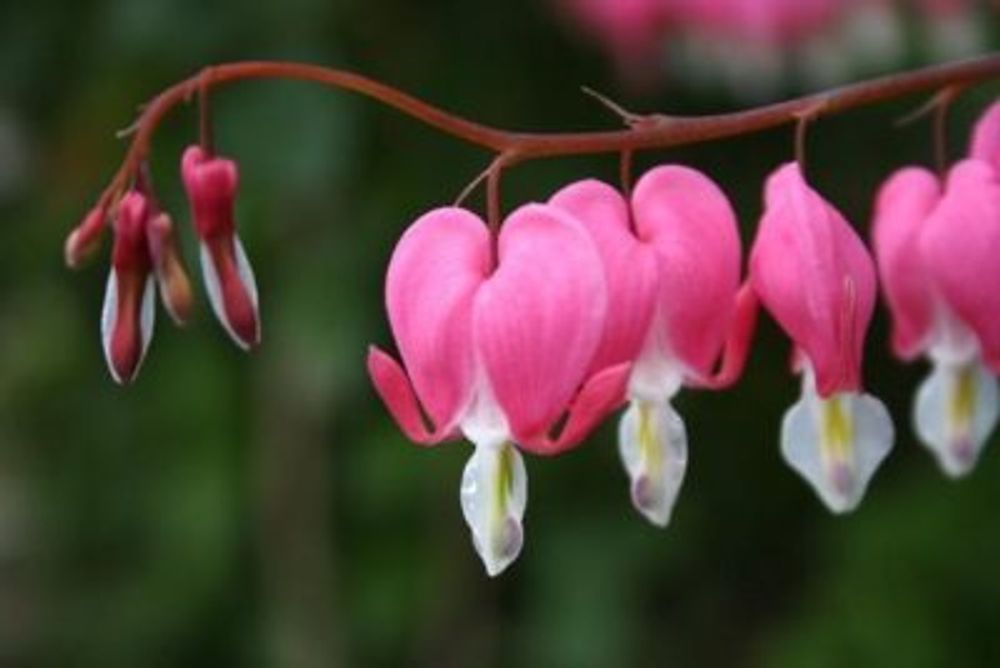 c33eca9d9d28636d7ecd880698b23b09