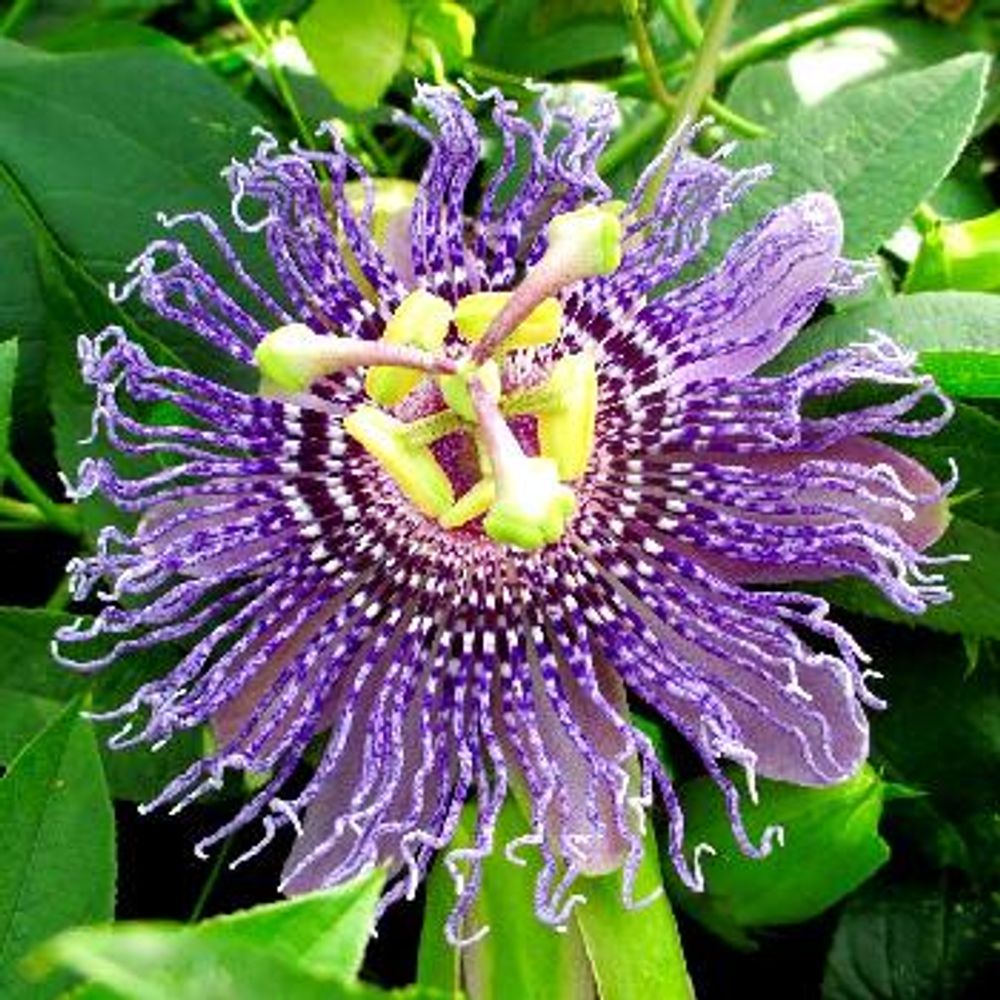 1473153582677_thum_1473153582242_thum_tmp