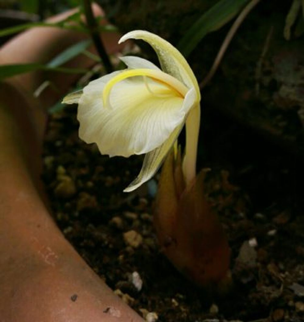 Photo by ＊＊あぃ＊＊さん@GreenSnap