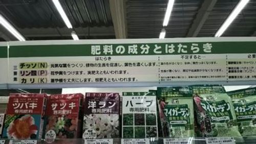 クレマチスの肥料はこうやってあげよう Greensnap グリーンスナップ