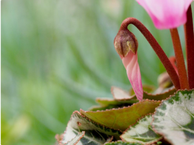 スクリーンショット 2016-10-27 18.42.53