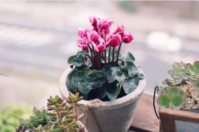 スクリーンショット 2016-10-27 18.46.29