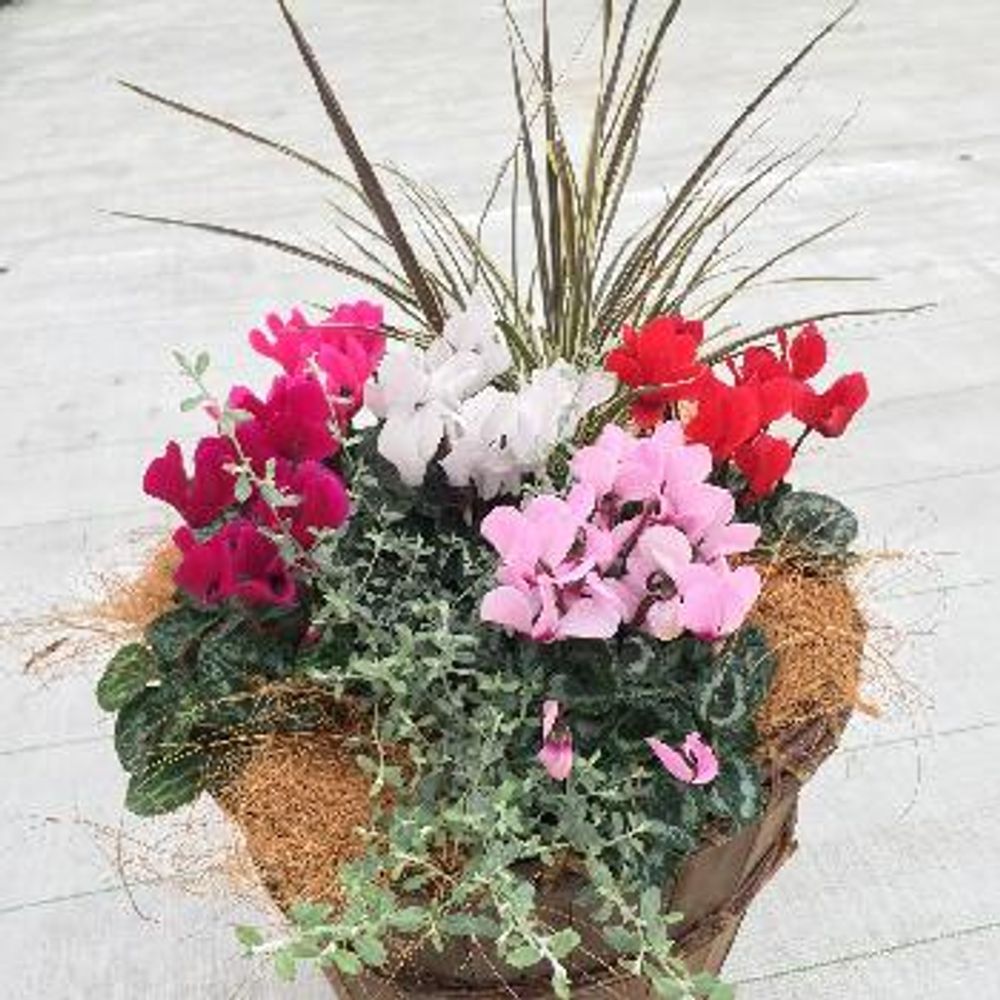 1475037038538_thum_1475037038002_thum_tmp