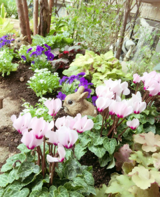 スクリーンショット 2016-10-27 18.53.33