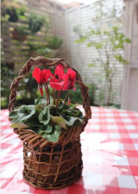 スクリーンショット 2016-10-29 7.53.35