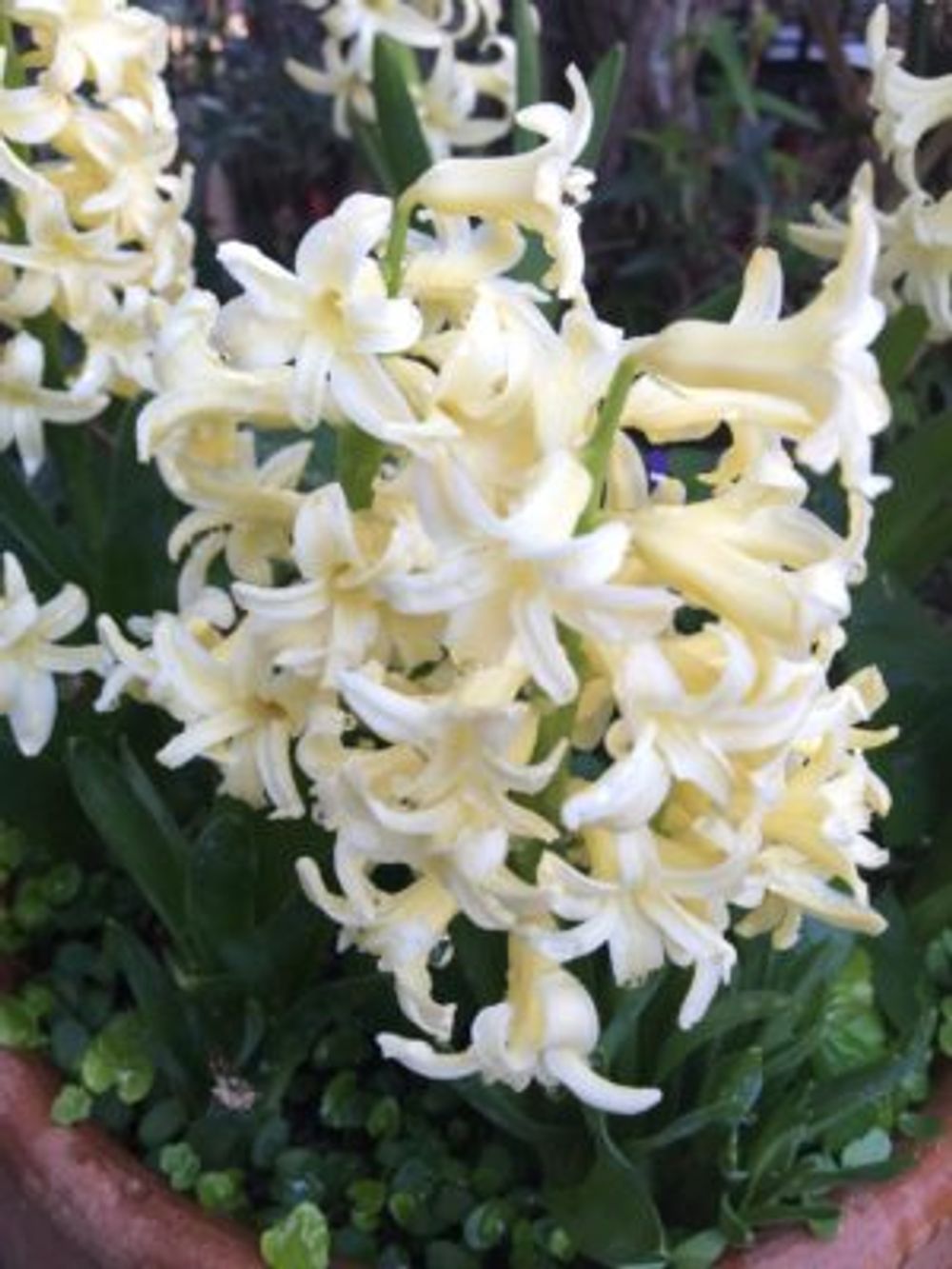 Photo by りょうゆうさん@GreenSnap