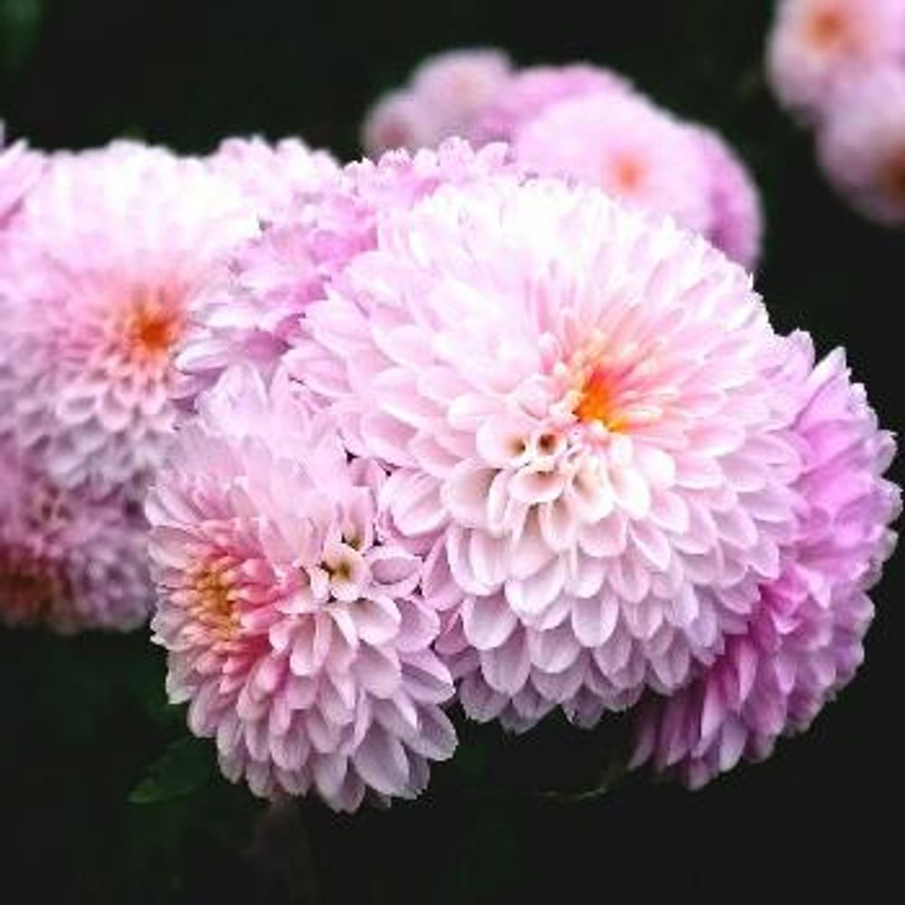 1477992298815_thum_1477992298421_thum_sample