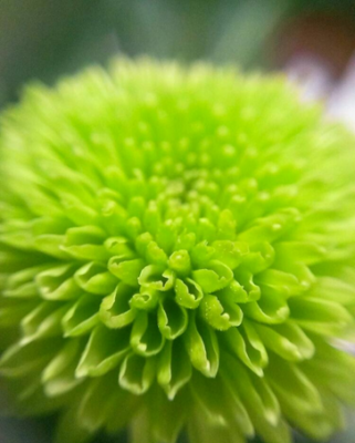 スクリーンショット 2016-11-06 9.41.04