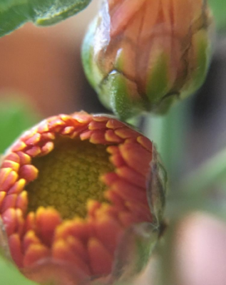 スクリーンショット 2016-11-06 9.43.38