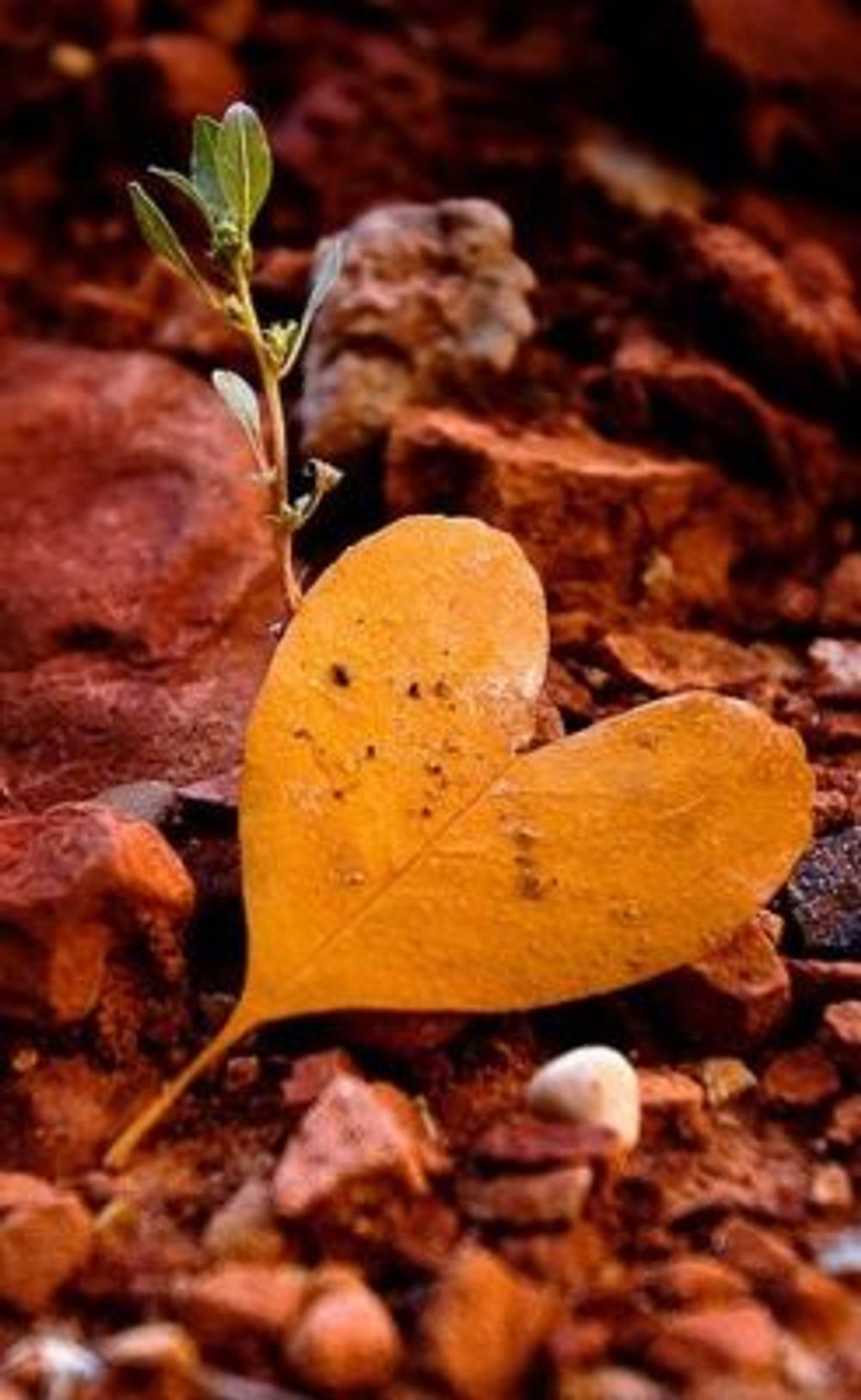 0dc881839839b0b2f743f11c383d3148