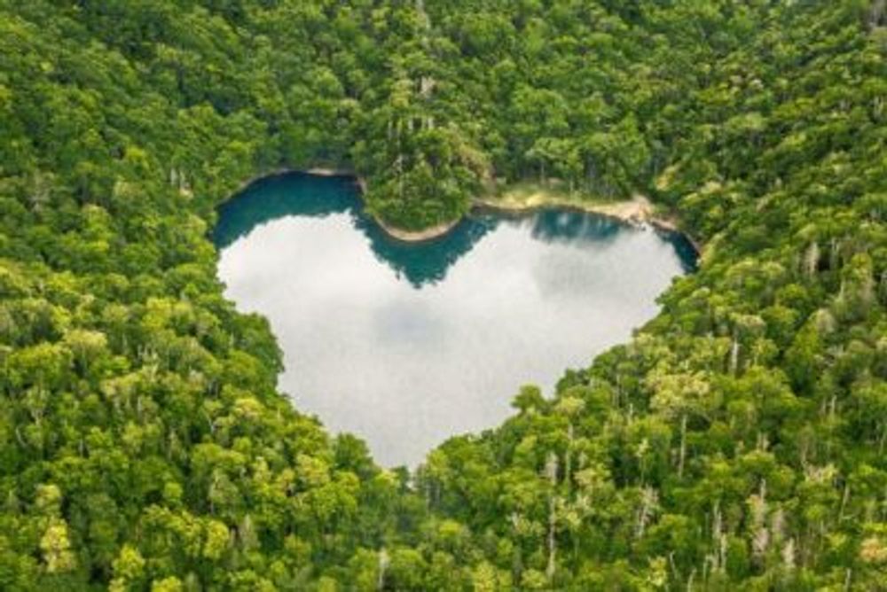 c692536b74362455dea60027e428be08