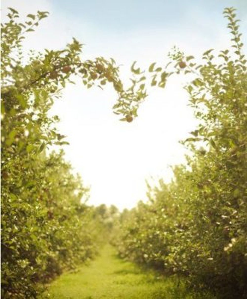 0950baad10659c39b4774610110bab36