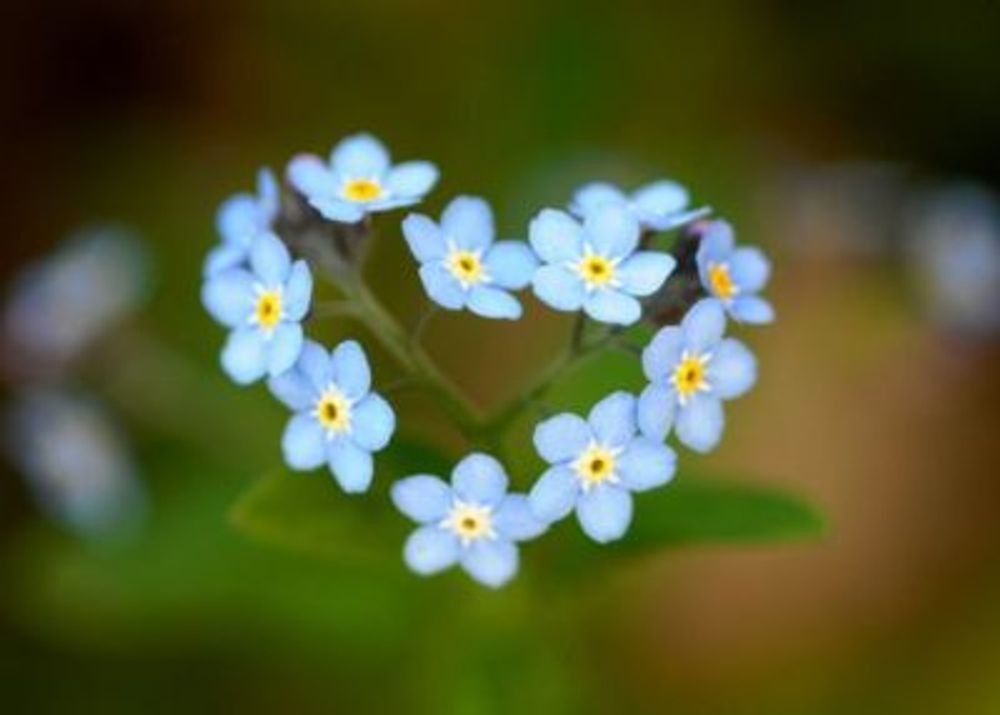 28cf48fedd0773976bf46860832ebf85