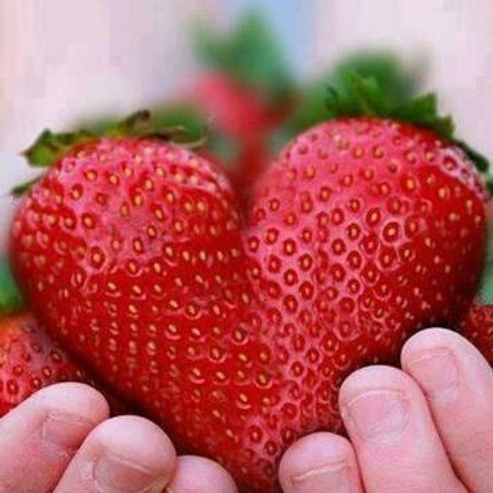 7a0c7ae6706fbfe28bd4a566cc862dad