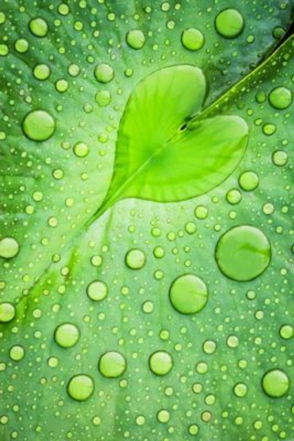 97f43ef3f85def4c8cdcb5afb62bc202