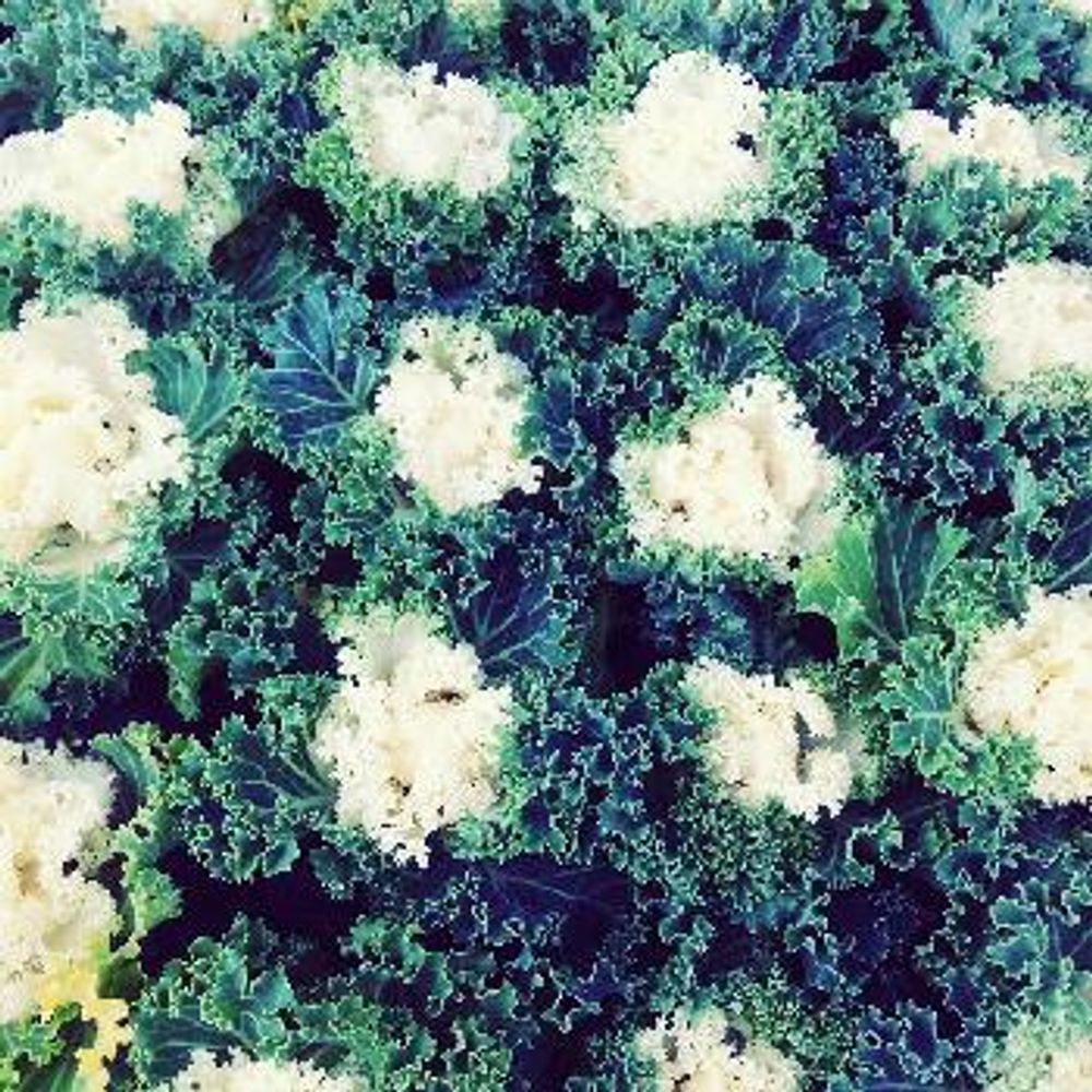 1480234427925_thum_1480234427331_thum_tmp