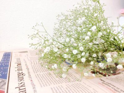 可愛らしい白い花が特徴的 かすみ草の育て方 Greensnap グリーンスナップ