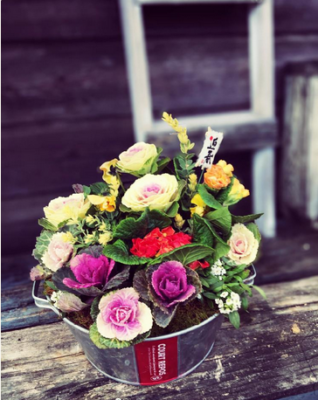 スクリーンショット 2017-01-04 13.16.59