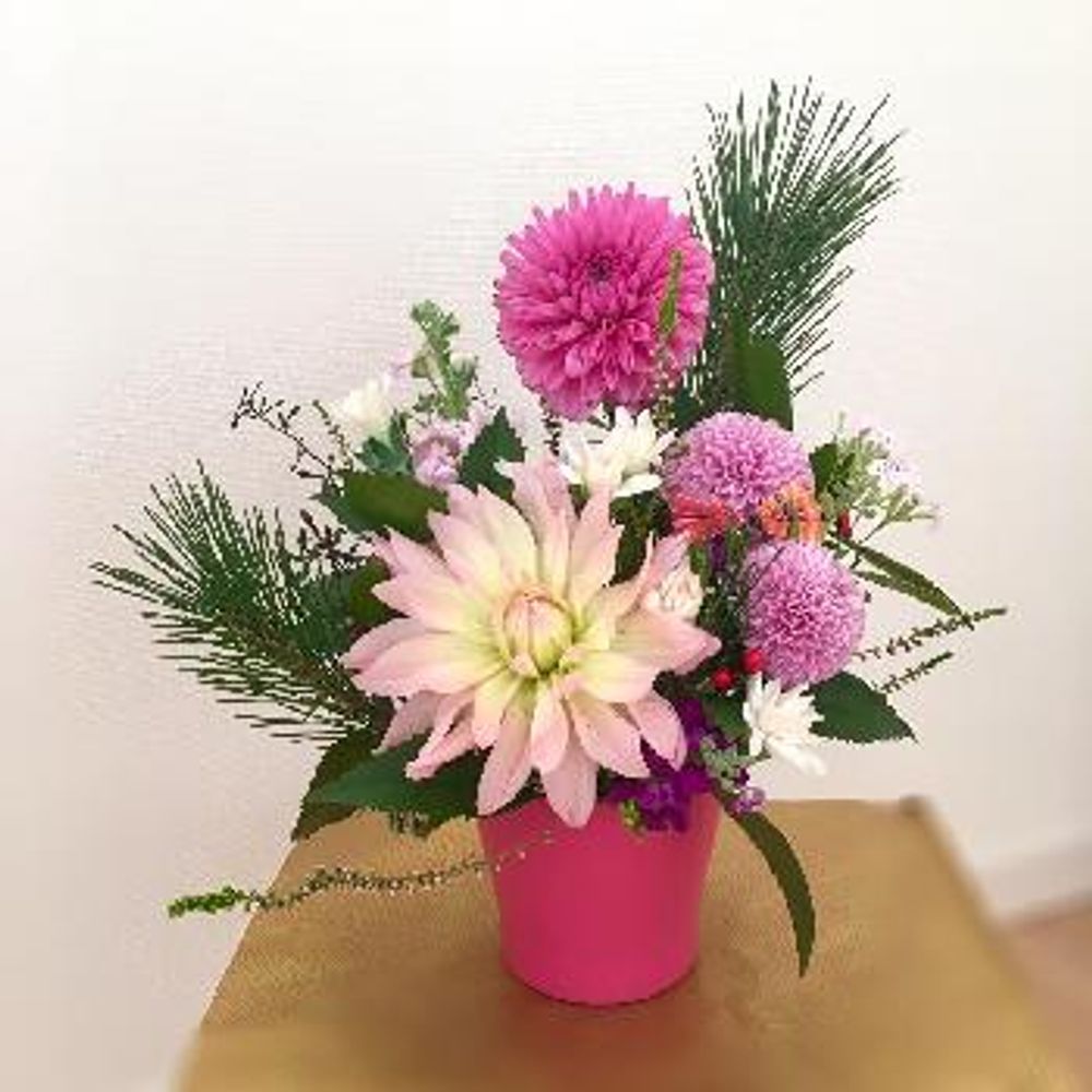 1483238575926_thum_1483238575410_thum_tmp