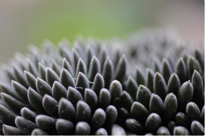 スクリーンショット 2017-01-29 13.33.27