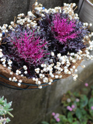 スクリーンショット 2017-02-10 10.37.07