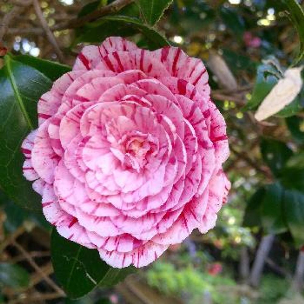 1461994705133_thum_1461994704661_thum_tmp