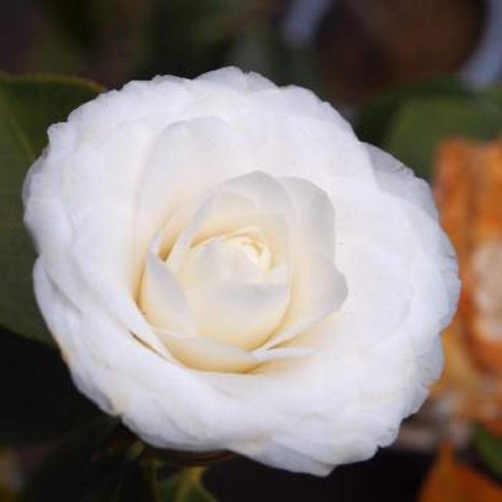 1461745142508_thum_1461745142103_thum_tmp