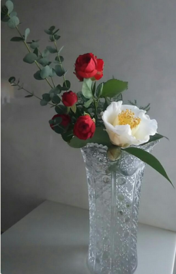 スクリーンショット 2017-01-12 13.52.28