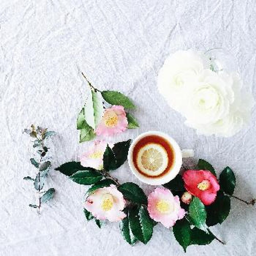 1458215270778_thum_1458215269804_thum_tmp