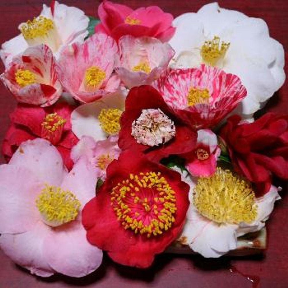 1458287996569_thum_1458287995888_thum_sample