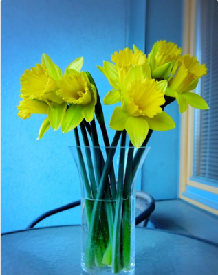 スクリーンショット 2017-01-20 18.04.15