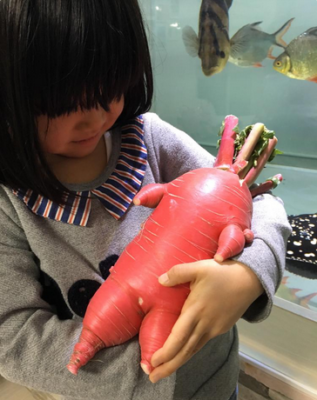 スクリーンショット 2017-01-24 16.22.12