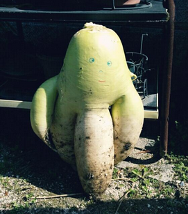 スクリーンショット 2017-01-24 16.31.06