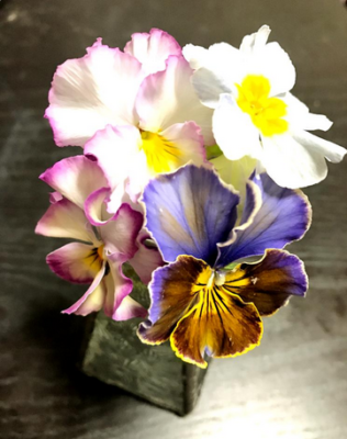 スクリーンショット 2017-01-26 10.57.38