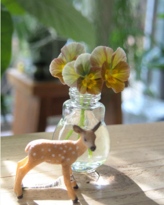 スクリーンショット 2017-01-26 12.23.07